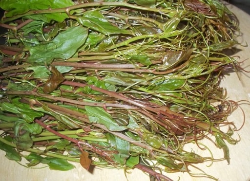 E%60kala-s-orehami.-Gruzinskiy-retsept-6.jpg.jpeg