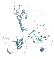 e217aad18c82448ba977659a652a49dc.gif