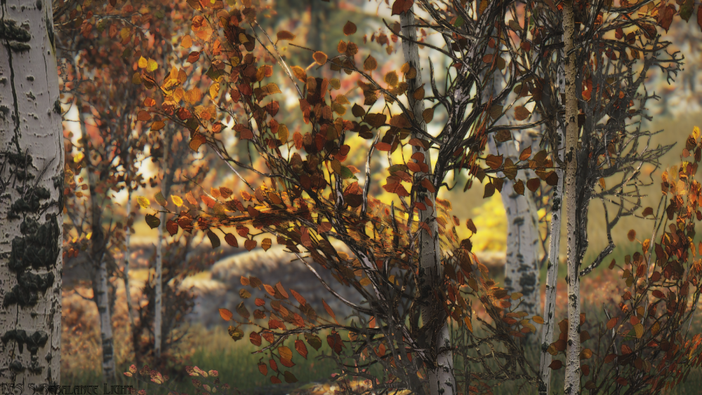 e43bb107e57b.png.webp.png