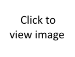 e4728c37f607c656541b89939669e9c8.jpeg.png