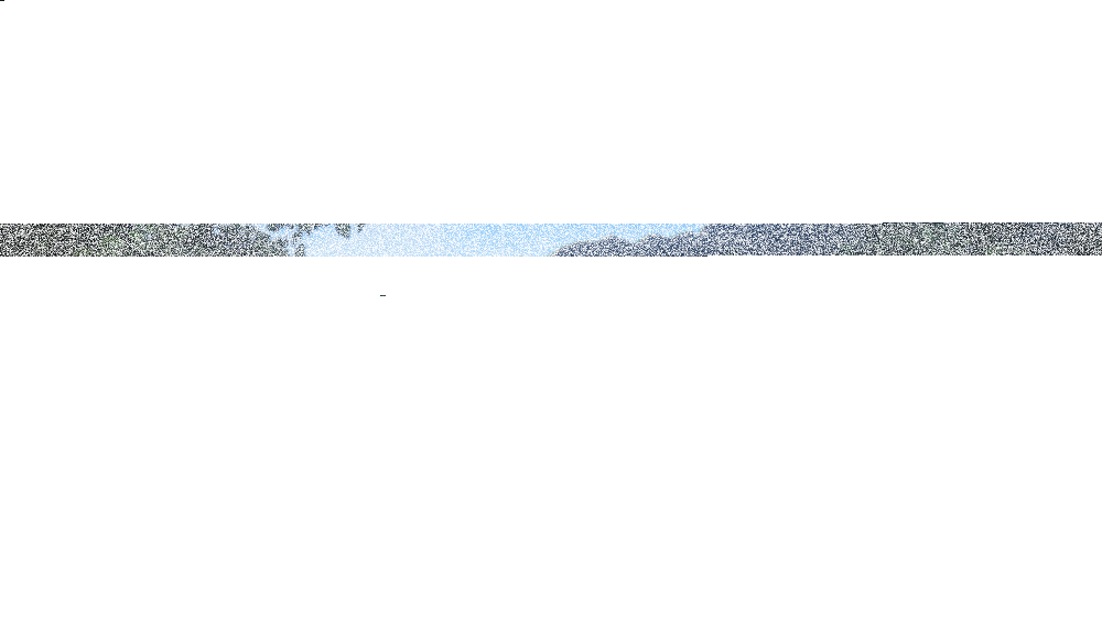 e4bf424d3f55.png.webp.png