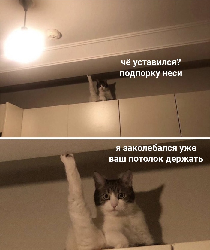 e9eec41c169309465655ad4a69ab1e89.jpg.jpeg
