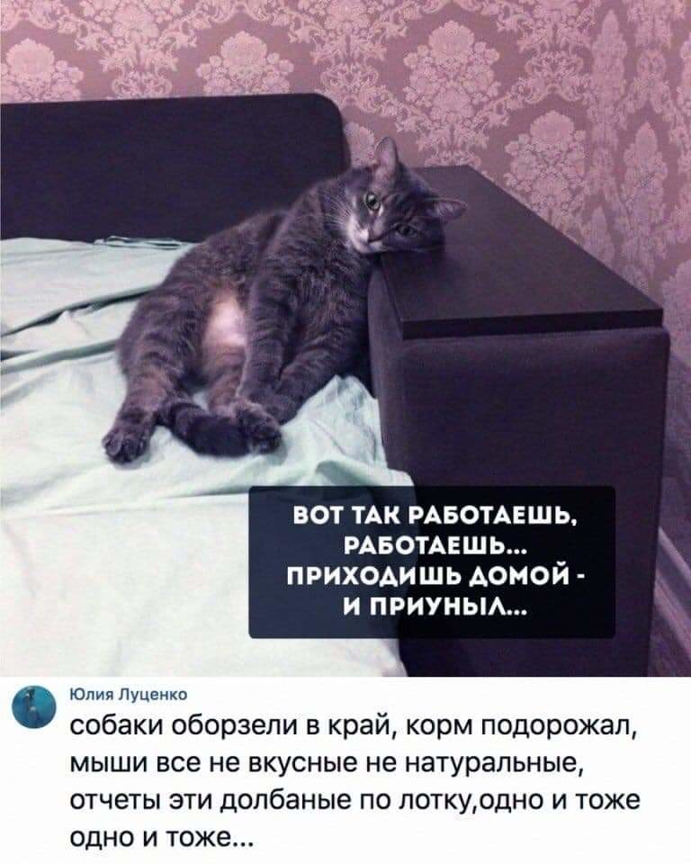 ebRRY-F_Jbk.jpg.jpeg