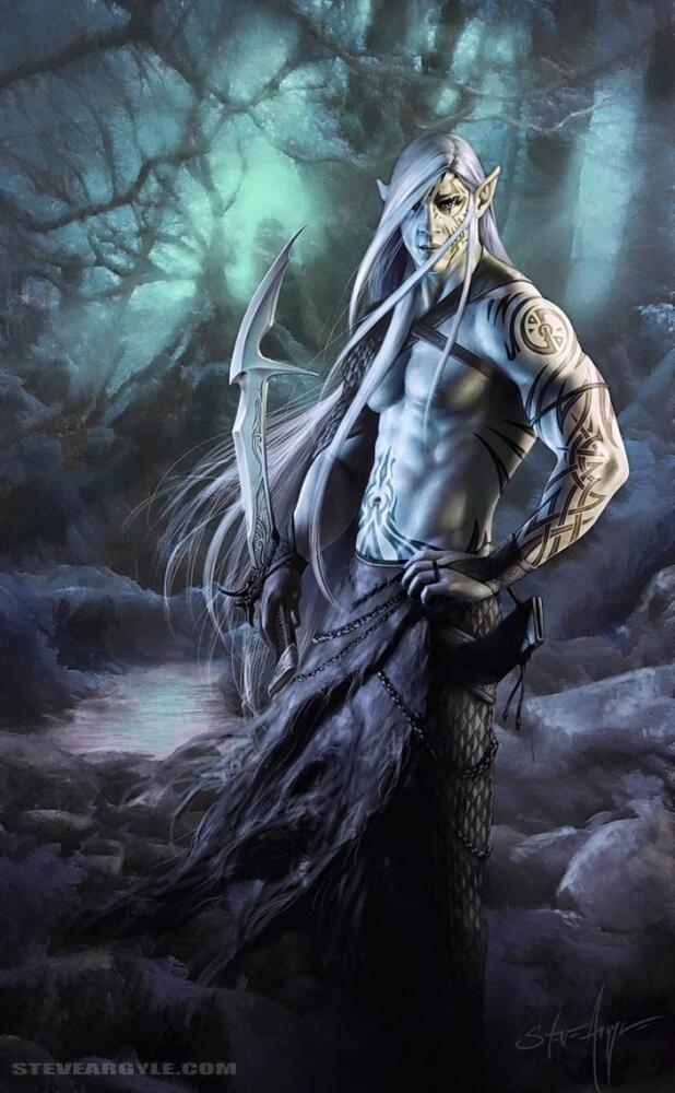 elven_rogue_by_steveargyle-d4ermym.jpg.jpeg