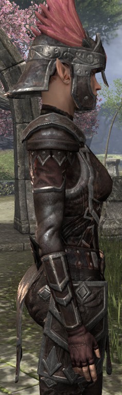 eso-imperial-full-leather-medium-armor-set-level-36-5.jpg.jpeg