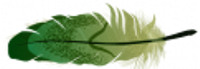 f34cd725b101ee14fe1a4af21ab44bd8.png.webp.png