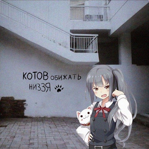 f6dce65e6c1f.jpg.jpeg