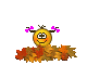 fa902bb4563d.gif