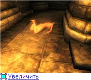 fa95036501aet.jpg.jpeg