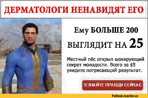 Fallout-%D1%84%D1%8D%D0%BD%D0%B4%D0%BE%D0%BC%D1%8B-Fallout-4-%D1%80%D0%B5%D0%BA%D0%BB%D0%B0%D0%BC%D0%B0-2282528.jpeg