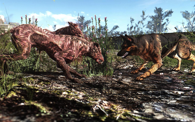 Fallout4_2018_06_09_20_29_02_49.jpg.jpeg