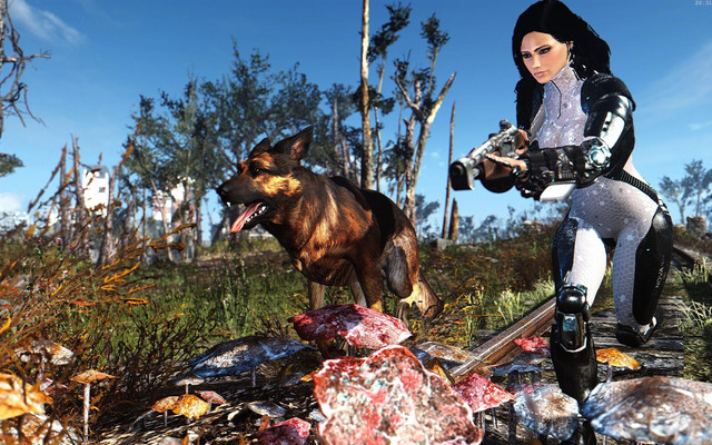 Fallout4_2018_06_09_20_31_37_41.jpg.jpeg