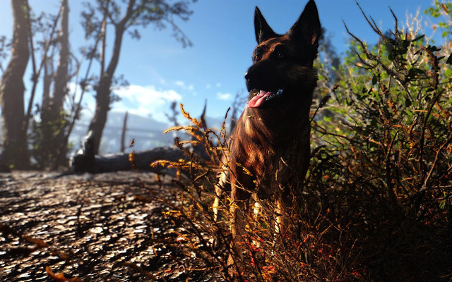 Fallout4_2018_06_09_20_33_03_38.jpg.jpeg