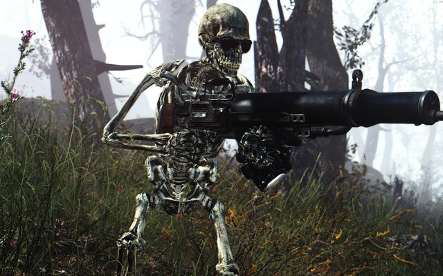 Fallout4_2018_06_12_13_39_01_65.jpg.jpeg