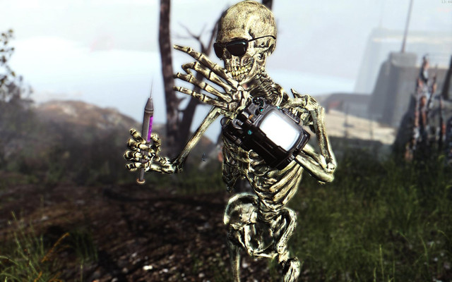Fallout4_2018_06_12_13_44_20_96.jpg.jpeg