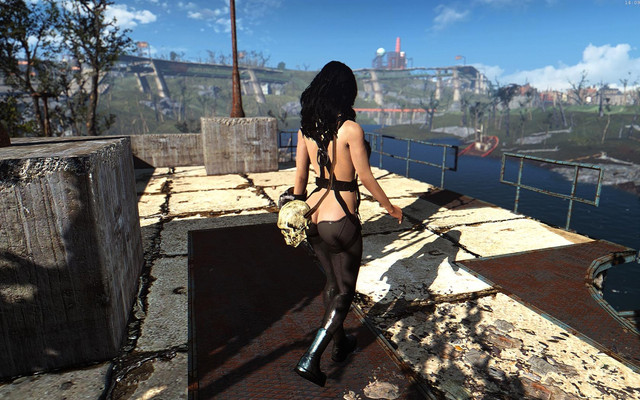Fallout4_2018_06_12_14_09_09_77.jpg.jpeg