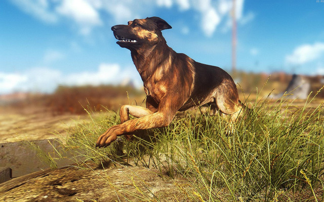 Fallout4_2018_08_20_21_01_45_67.jpg.jpeg