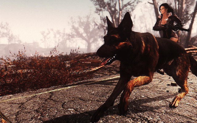 Fallout4_2018_08_22_12_24_20_66.jpg.jpeg