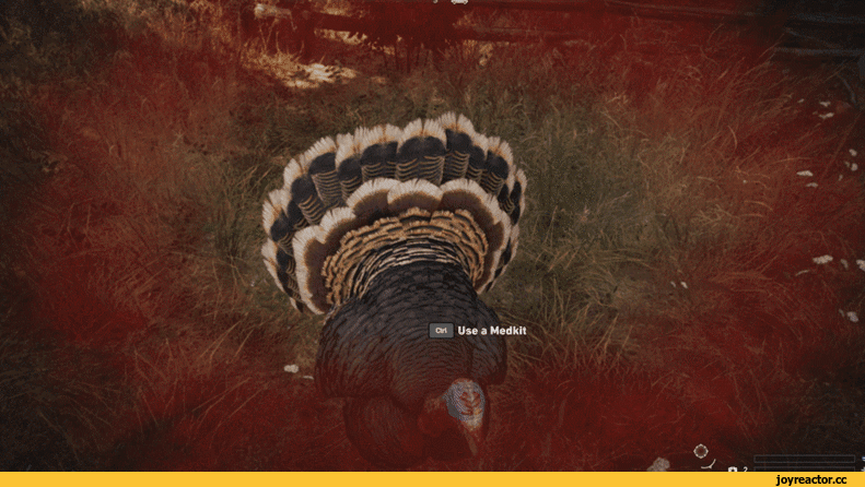 Far-Cry-5-Far-Cry-%D0%98%D0%B3%D1%80%D1%8B-%D0%B8%D0%BD%D0%B4%D1%8E%D0%BA%D0%B8-2924996.gif