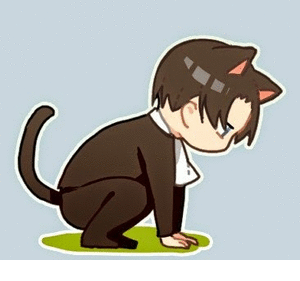 fc20bd12accd.gif