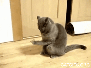 fDQnfyC.gif