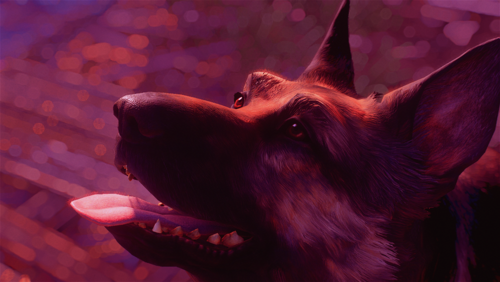 fe526d62b7d7.png.png