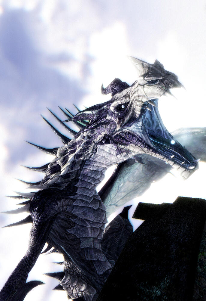 ff05226168c3.jpg.jpeg