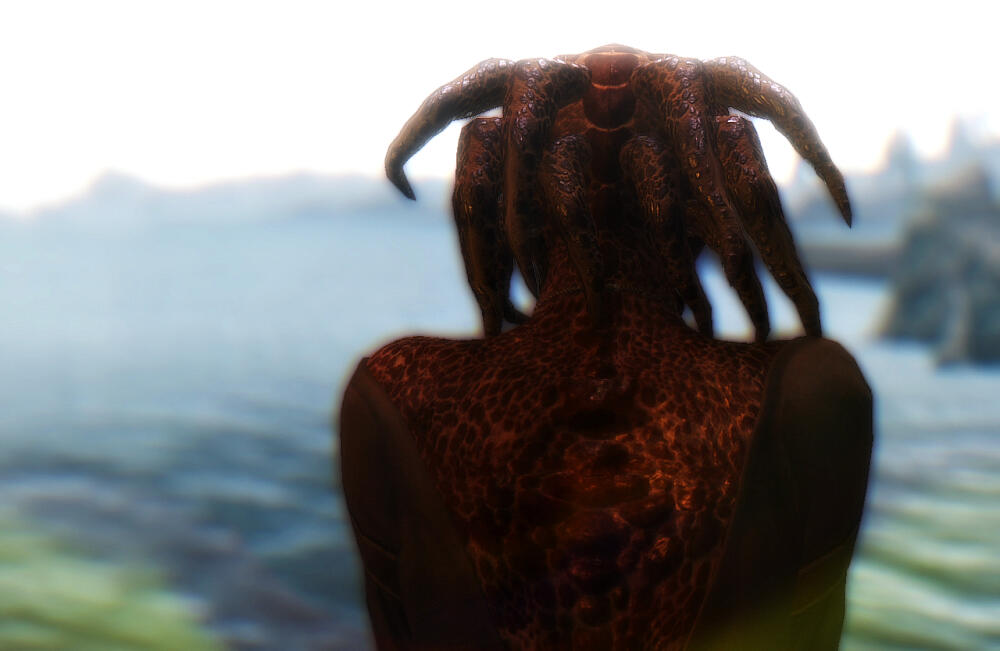 ff153fd6d7cd.jpg.jpeg