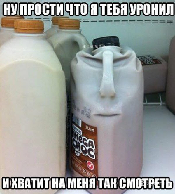 file1377509043.jpg.jpeg