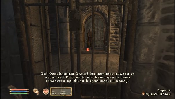 fQfIhOg57Ng.jpg.jpeg