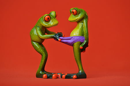 frogs-curious-funny-figures-thumb.jpg.jpeg