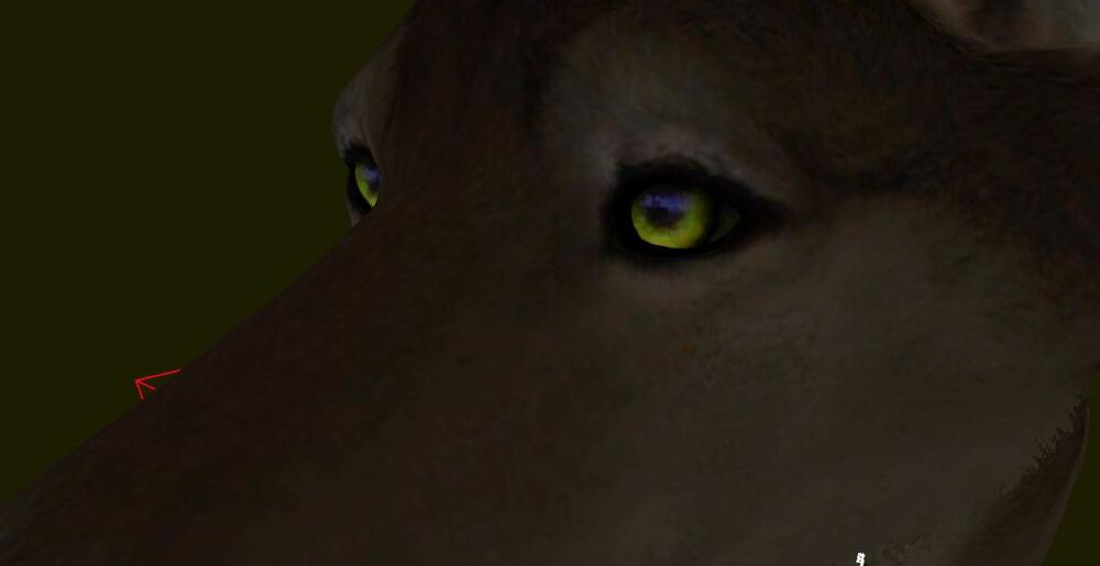 -fzbdV6QHIA.jpg.jpeg