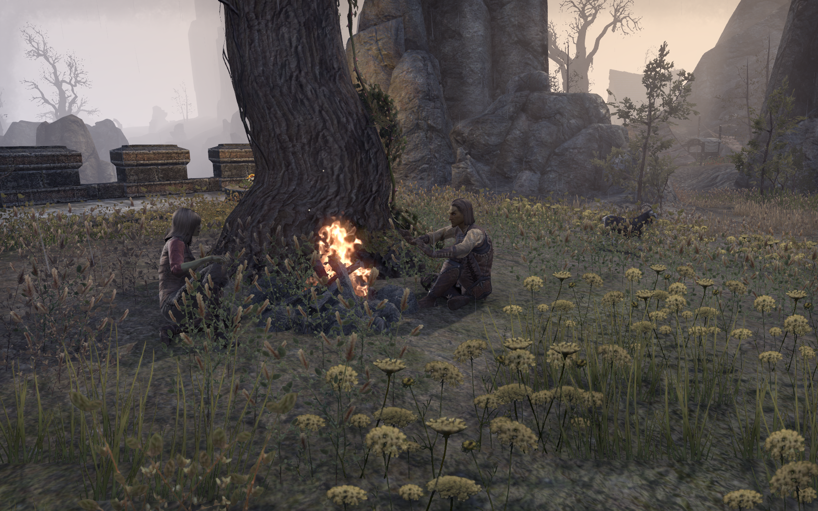 gallery_72189_45_2553445.png