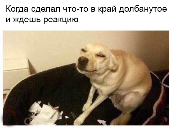 gHyvJoaqB-k.jpg.jpeg