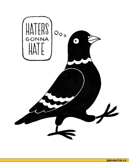 %D0%B3%D0%B8%D1%84%D0%BA%D0%B8-haters-gonna-hate-369326.gif