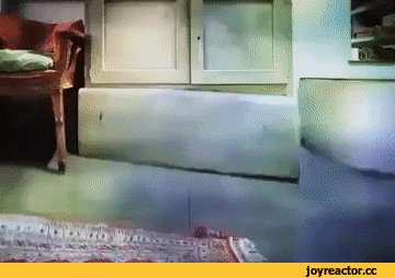 %D0%B3%D0%B8%D1%84%D0%BA%D0%B8-%D0%BA%D0%BE%D1%82%D1%8D-5860263.gif