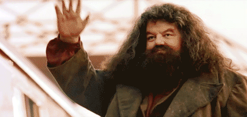 giphy%20(12)_(1).gif
