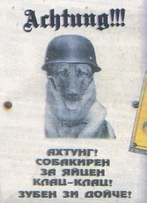 gr_23.08.13_ahtyng.jpg.jpeg