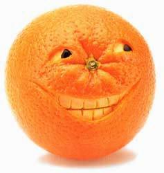 i-9829.jpg.jpeg