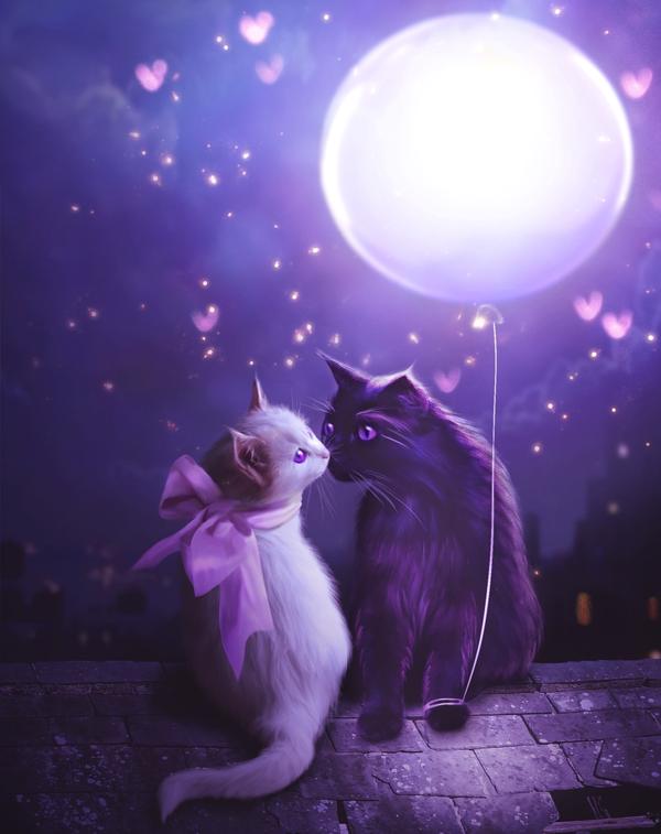 i_ll_give_you_the_moon_by_marilucia-d5kgs9t.jpg.jpeg