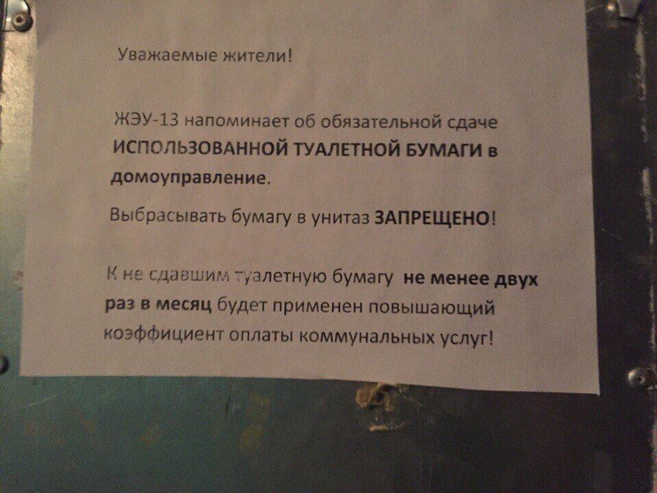 i0qUPkIyfzE.jpg.jpeg