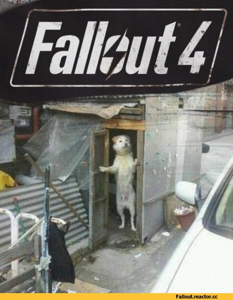 %D0%98%D0%B3%D1%80%D1%8B-Fallout-4-Fallout-%D1%84%D1%8D%D0%BD%D0%B4%D0%BE%D0%BC%D1%8B-2297154.jpeg