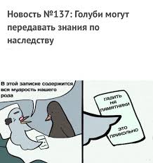 images.jpg.jpeg