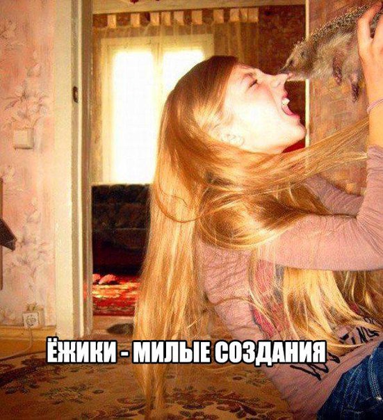 jd7w0CN3L3M.jpg.jpeg