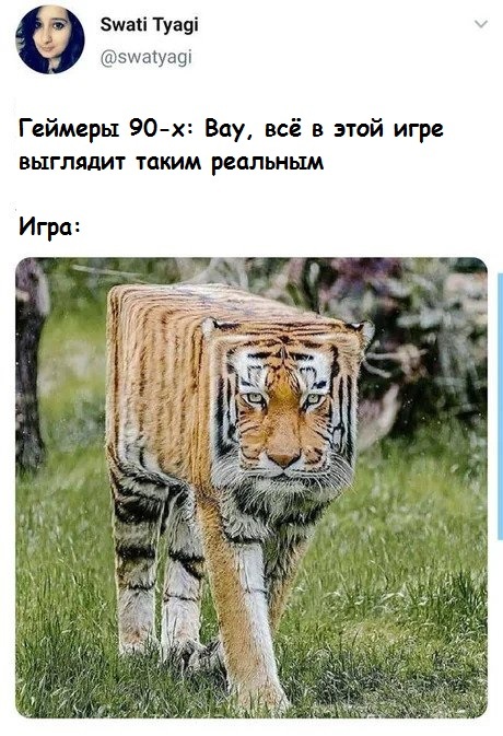 jpg.jpeg