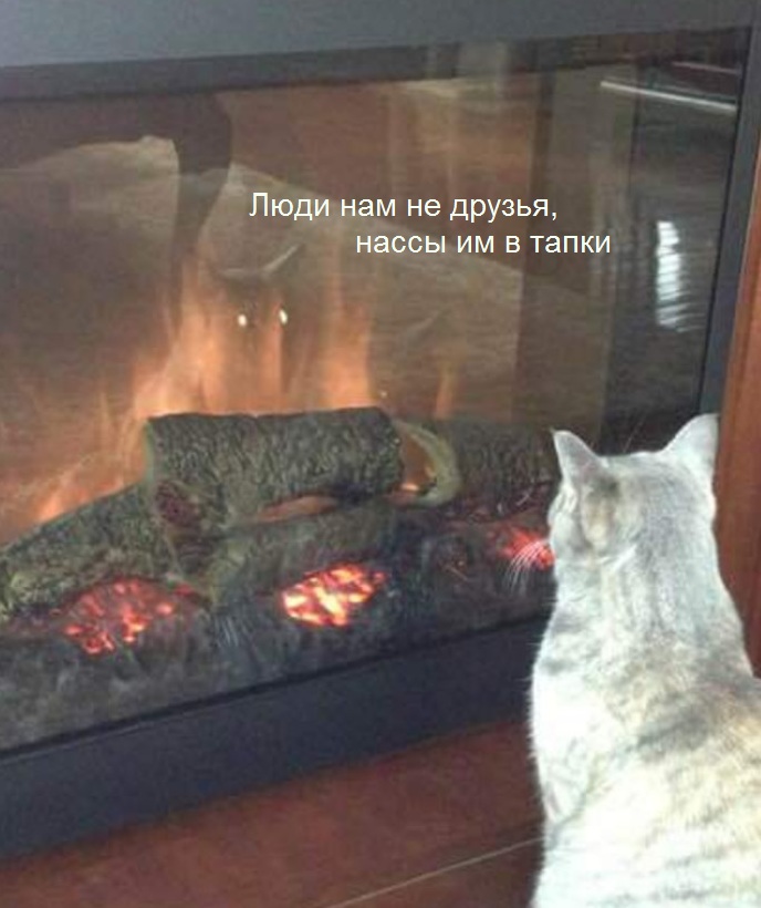 jpg.jpeg