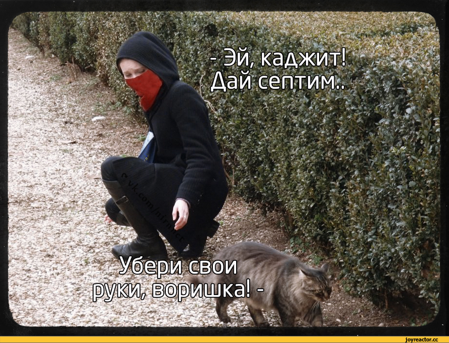 jpg.jpeg