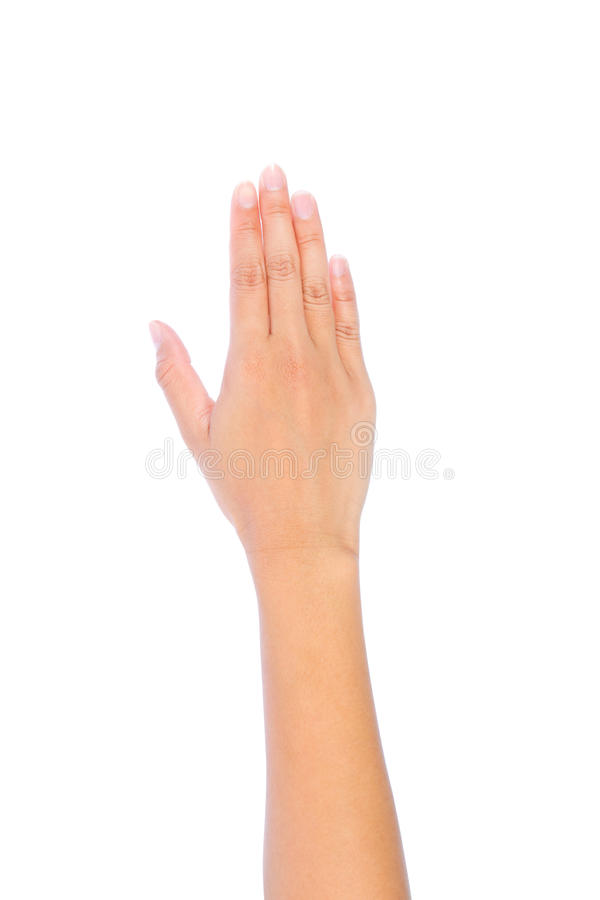 jpg.jpeg