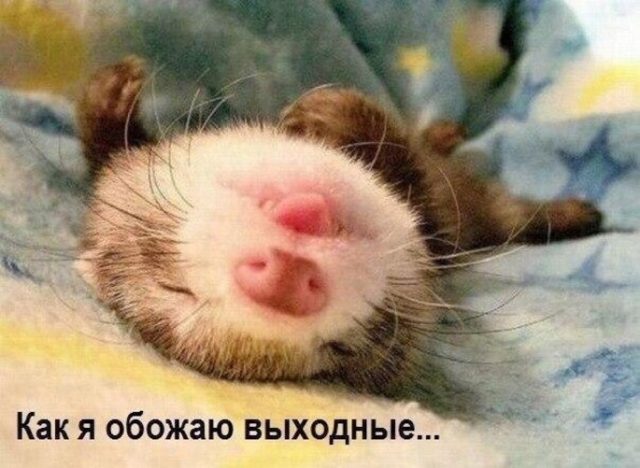 kak-ya-obozhayu-vykhodnye-open-640x468.jpg.jpeg