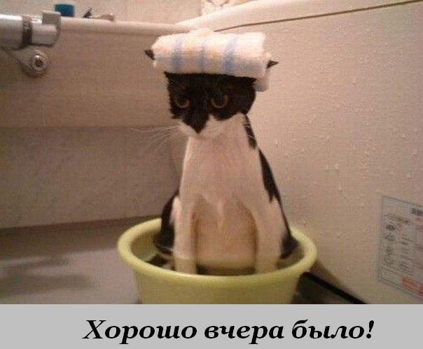 khorosho-vchera-bylo-open.jpg.jpeg
